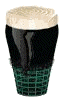 GUINNESS AT LAST
